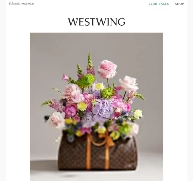 Westwing: Vintage Bags od Gucci, Prada, LV – červen 2026 | Nuslet.cz