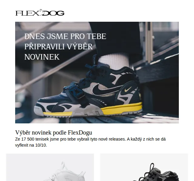 FlexDog: Výběr z 17 500 tenisek Nike, adidas a Raf Simons – červen 2026 | Nuslet.cz