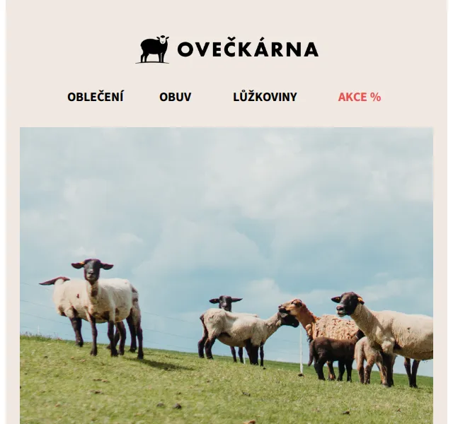 Ovečkárna: Merino vlna a příběh od oveček – červen 2026 | Nuslet.cz