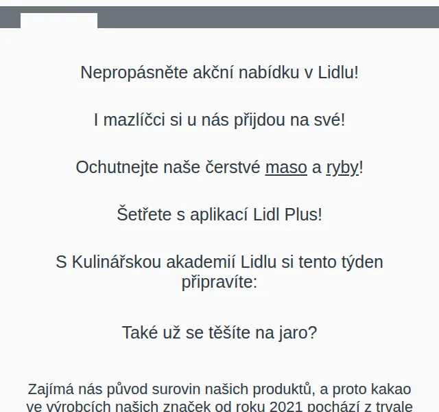 Lidl: Jarní úklid auta i grilování – březen 2026 | Nuslet.cz