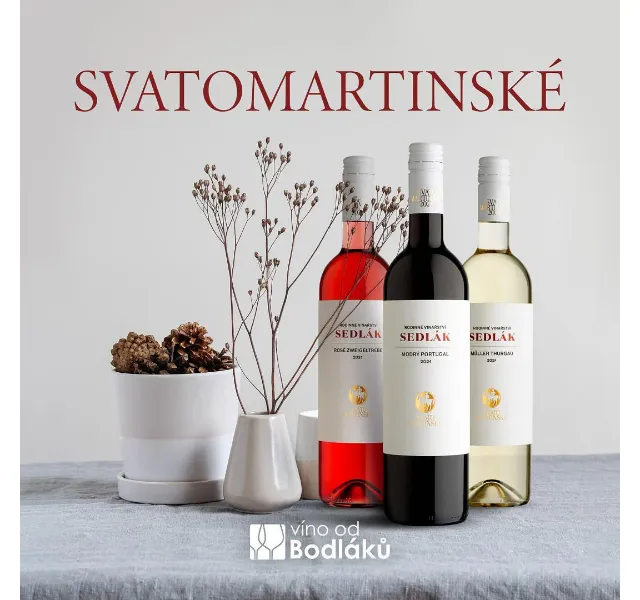 Jitka za Víno od Bodláků: Svatomartinské víno 2022 – červen 2026 | Nuslet.cz
