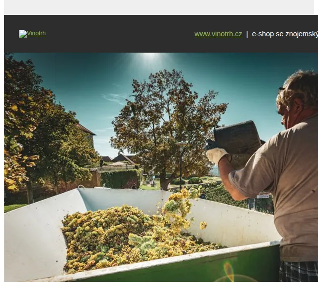 Vinotrh: Kolekce Field Blend vín – červen 2026 | Nuslet.cz
