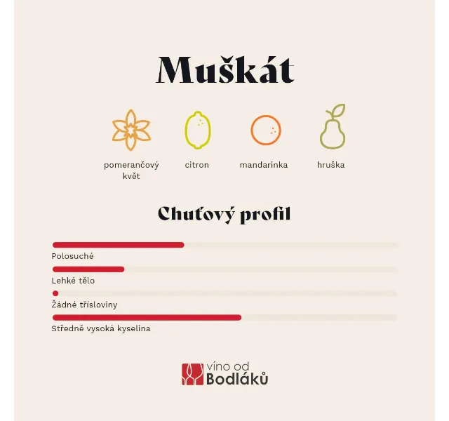 Jitka za Víno od Bodláků: Muškát – nové články a Vinocast – červen 2026 | Nuslet.cz