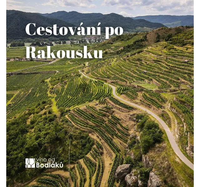 Jitka za Vino od Bodlaku: Tipy na cestovani za vínem v Rakousku – červen 2026 | Nuslet.cz