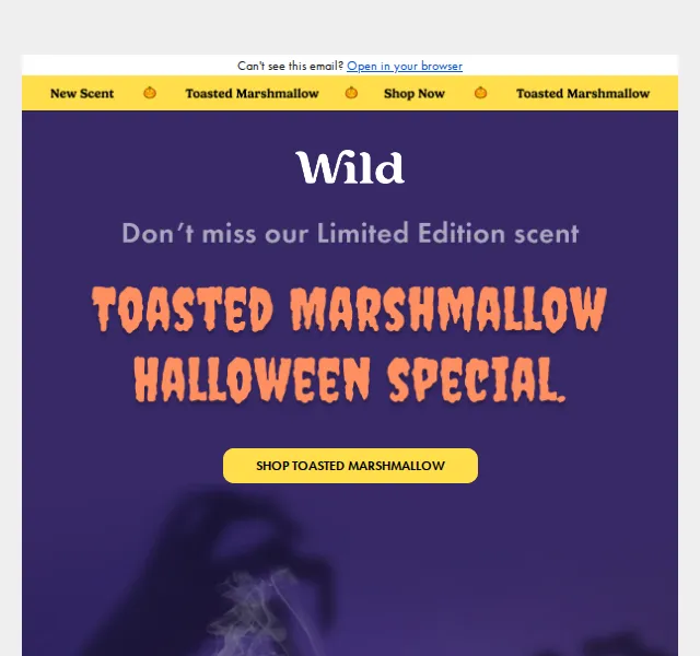 Wild: Toasted Marshmallow refills – červen 2026 | Nuslet.cz
