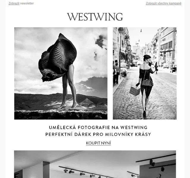 Westwing: Umělecká fotografie Szymona Brodziaka – červen 2026 | Nuslet.cz