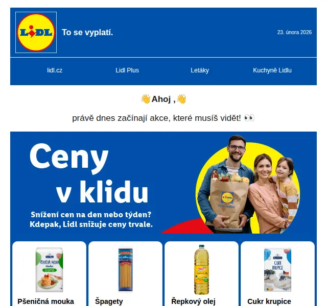 Lidl: 40 % sleva na dřevěné hračky + elektro výprodej – duben 2026