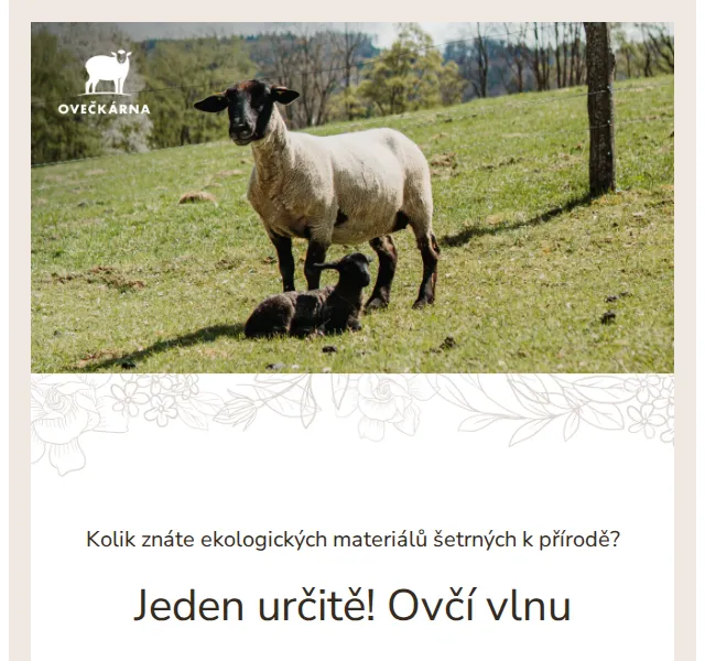 Ovečkárna: udržitelné kousky z ovčí vlny – červen 2026 | Nuslet.cz
