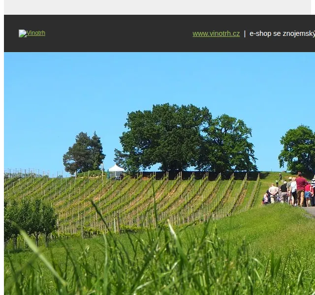 Vinotrh: vína z vinice U tří dubů – srpen 2023 | Nuslet.cz