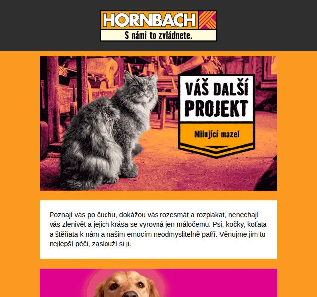 HORNBACH: Krmivo a potřeby pro psy a kočky – červen 2026 | Nuslet.cz