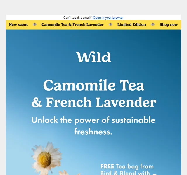 Wild: Camomile Tea & French Lavender vůně od 12 £ – červen 2026 | Nuslet.cz