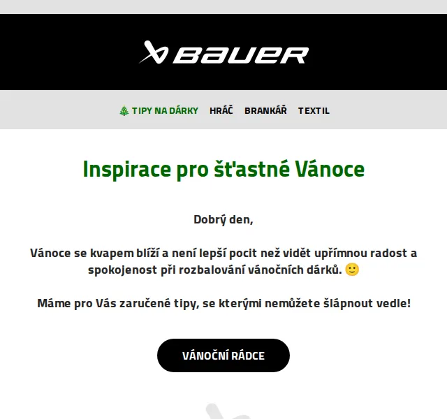 Bauer Hockey Česko: brusle a výstroj – červen 2026 | Nuslet.cz