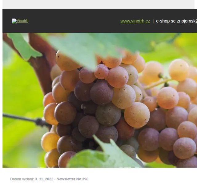 Vinotrh: První mladá 2022/II. – listopad 2022 | Nuslet.cz