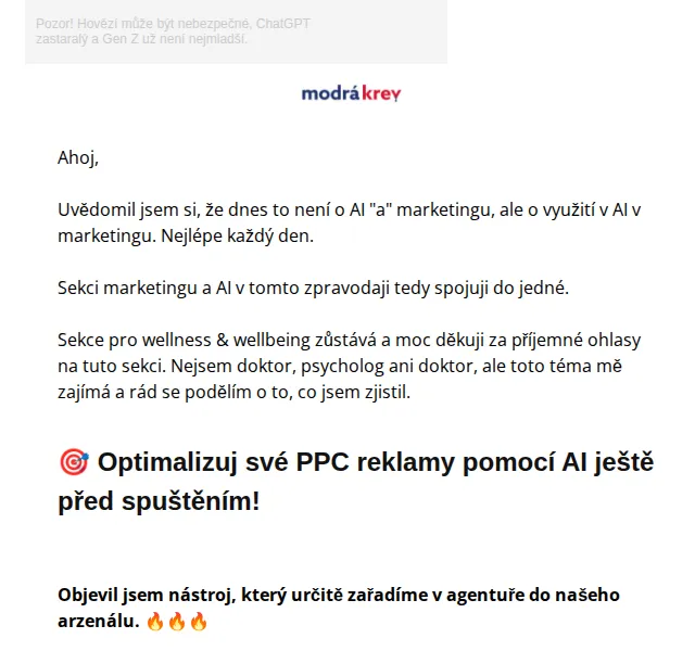 David Lörincz: Optimalizace PPC pomocí AI – červenec 2026 | Nuslet.cz