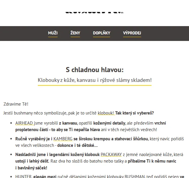 BUSHMAN: Klobouky z kůže, kanvasu i rýžové slámy skladem – červen 2026 | Nuslet.cz