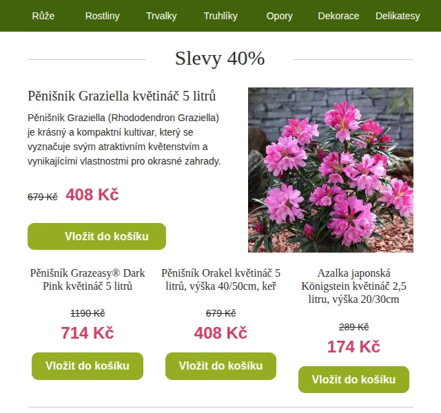 Truhlíkov.cz: Slevy 40 % na rododendrony a azalky – červen 2026 | Nuslet.cz