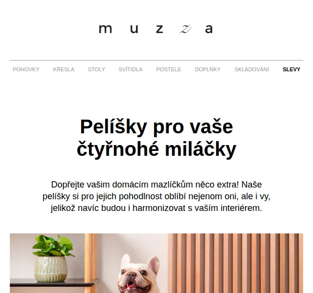 MUZZA: Pelíšky pro psy a kočky – červen 2026 | Nuslet.cz