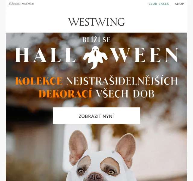 Westwing: Halloweenské dekorace – garance do 31.10. – červen 2026 | Nuslet.cz