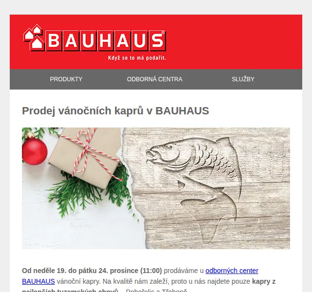 BAUHAUS: Vánoční kapr a 100 Kč sleva – prosinec 2021 | Nuslet.cz