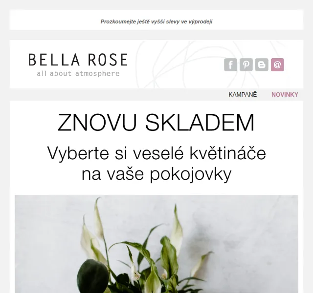 Bella Rose: Květináče s nápisy a vějíře – červen 2026 | Nuslet.cz