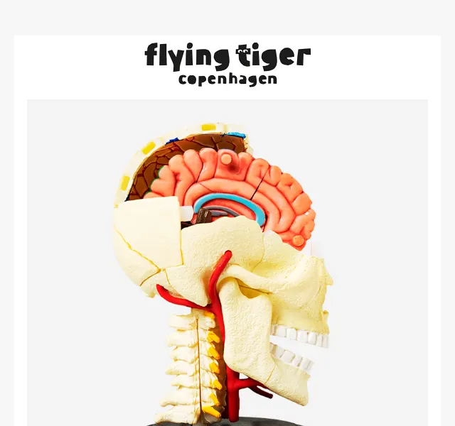 Flying Tiger Copenhagen: Vzdělávací hry a dekorace – červenec 2026 | Nuslet.cz