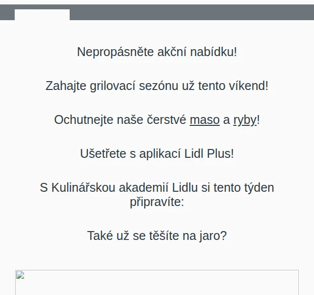 Lidl: Grilovací sezóna s akcemi na maso a ryby – červen 2026 | Nuslet.cz