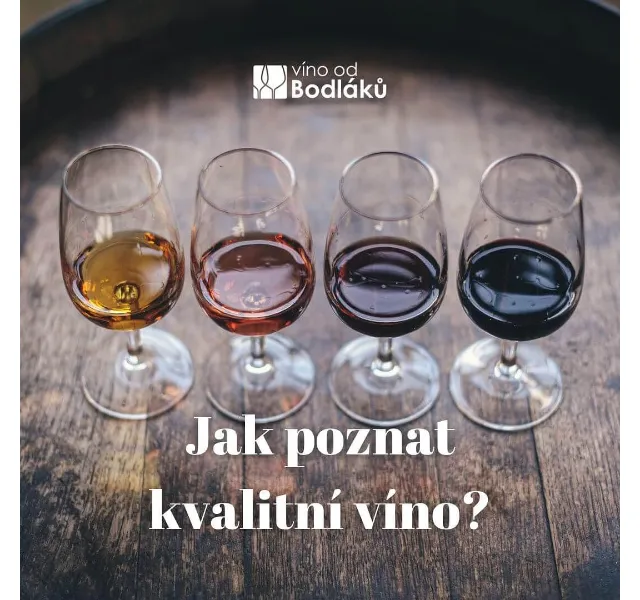 Jitka za Víno od Bodláků: Tipy na kvalitní víno – červen 2026 | Nuslet.cz