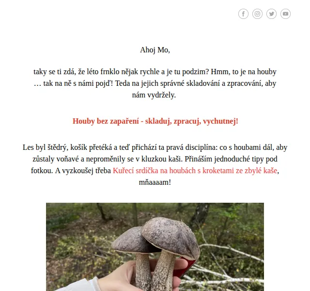 Petra ze Zachraň jídlo: tipy na zpracování hub – říjen 2026 | Nuslet.cz