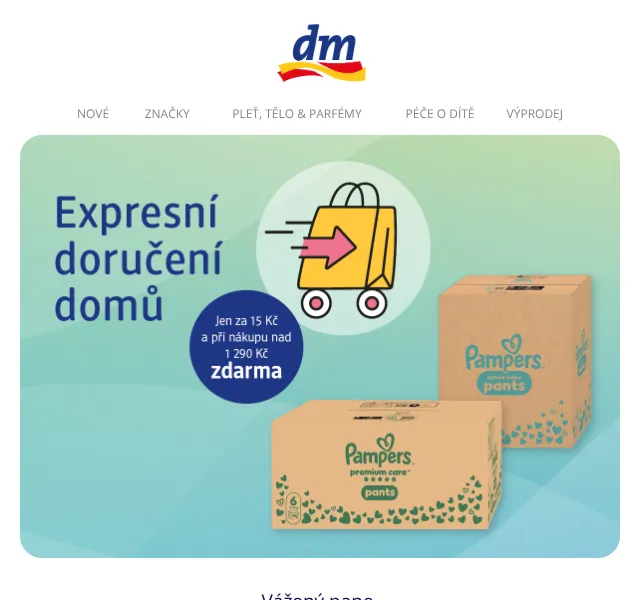 dm Drogerie: Pampers plenice měsíční balení – červenec 2026