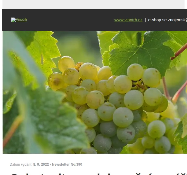 Vinotrh: Nové Šaldorfské kraváky, Cuvée 30 – září 2022 | Nuslet.cz