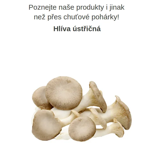 Váš HRUŠKA tým: Hlíva ústřičná a další produkty – červen 2026 | Nuslet.cz