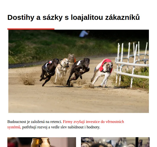Marketing & Media: Věrnostní systémy & Marketingové novinky – Červen 2026 | Nuslet.cz