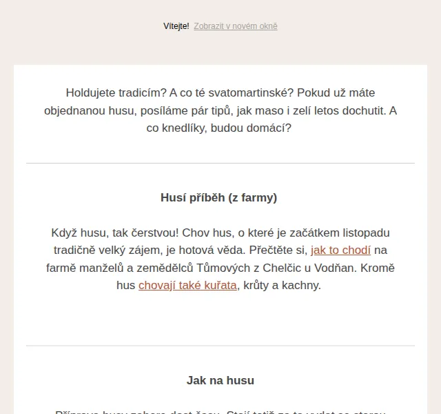 Jídlo a radost: Svatomartinská husa – červenec 2026 | Nuslet.cz