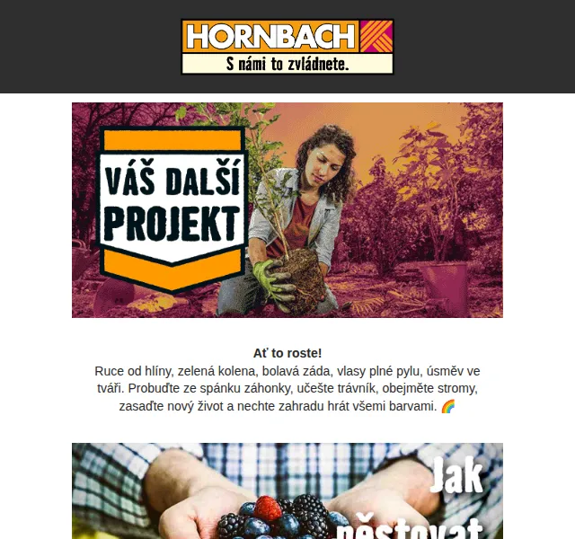 HORNBACH: Rakytník BIO od 325 Kč – červen 2026 | Nuslet.cz