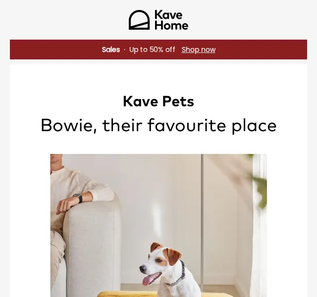 Kave Home Sale: postel Bowie pro psy – červenec 2026 | Nuslet.cz
