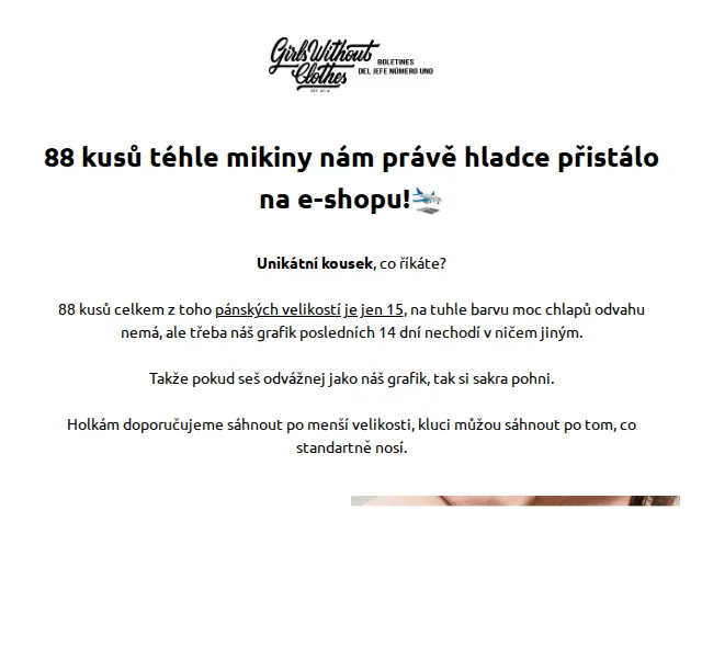 Girls Without Clothes: Mikina Spring s puff printem – červenec 2026 | Nuslet.cz