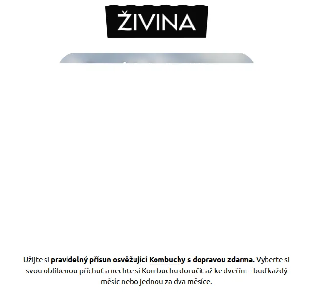 Živina: Předplatné Kombuchy za 1 755 Kč – červenec 2026 | Nuslet.cz