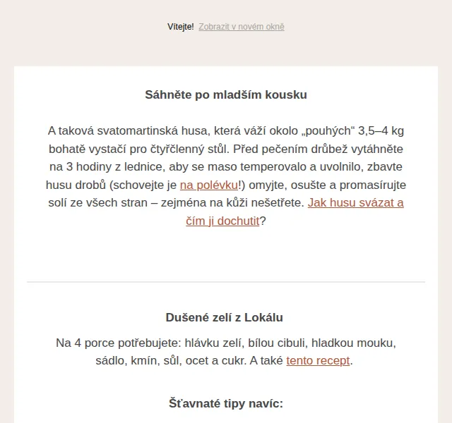 Jídlo a radost: recepty na svatomartinskou husu – červen 2026 | Nuslet.cz