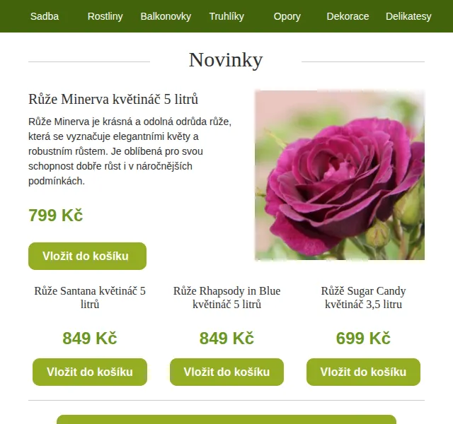 Truhlíkov.cz: Velké růže skladem od 699 Kč – červenec 2026 | Nuslet.cz