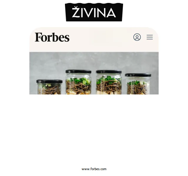 Živina: Instantní ramen a ingredience od 59 Kč – červenec 2026 | Nuslet.cz