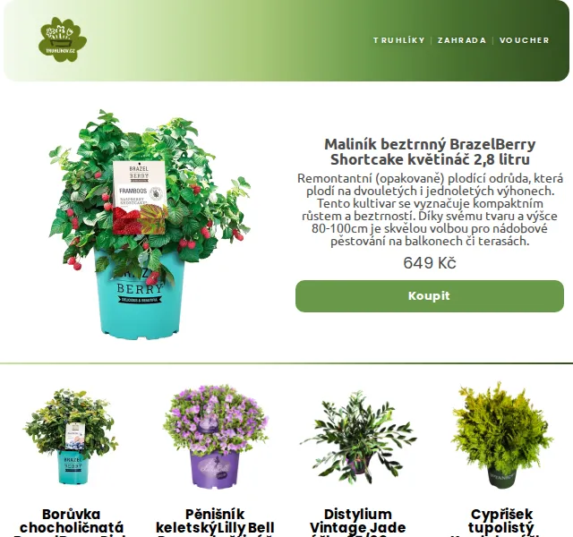 Truhlíkov.cz: Maliník BrazelBerry a hortenzie – červenec 2026 | Nuslet.cz