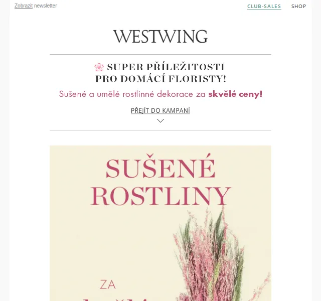 Westwing: Rostlinné dekorace – červenec 2026 | Nuslet.cz