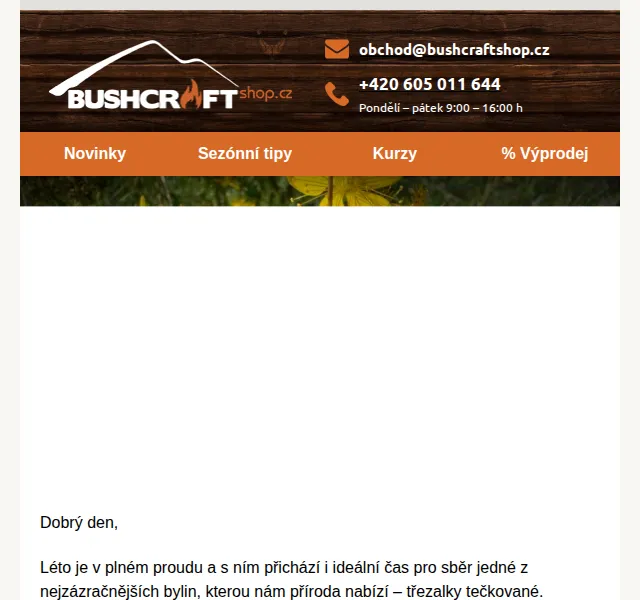 Bushcraftshop: Léčivé účinky třezalky tečkované – červenec 2026 | Nuslet.cz