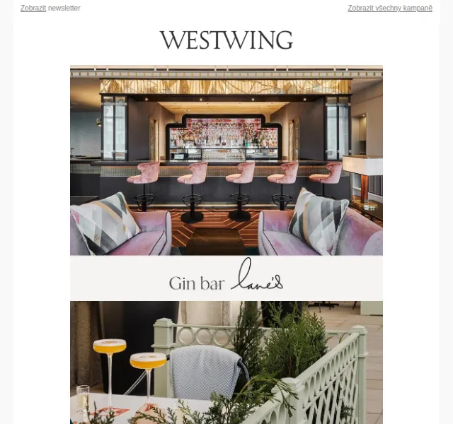 Westwing: Inspirace gin barem Lane's – červenec 2026 | Nuslet.cz