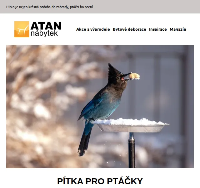 ATAN nábytek: Kovová pítka pro ptáčky od 339 Kč – červenec 2026 | Nuslet.cz