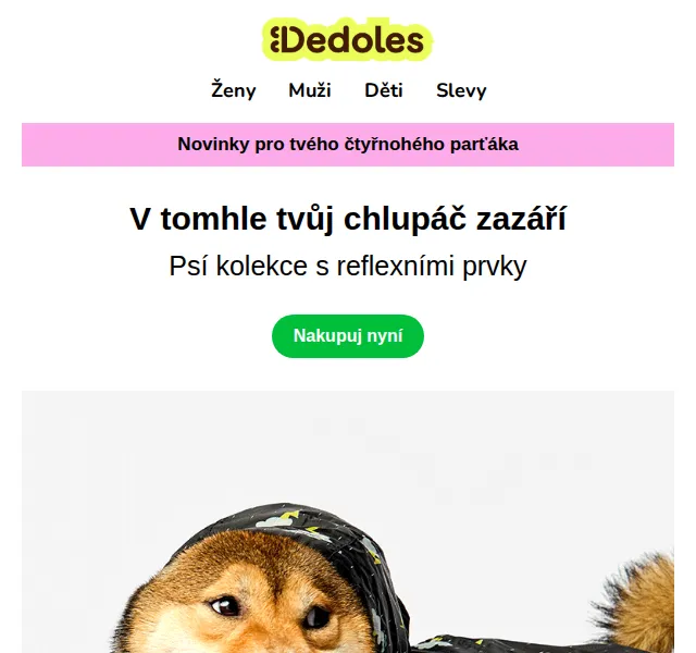 Dedoles.cz: Psí doplňky s reflexními prvky – červenec 2026 | Nuslet.cz