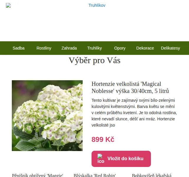 Truhlíkov.cz: Výběr rostlin za 199 Kč – červenec 2026 | Nuslet.cz