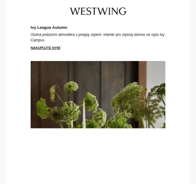 Westwing: Podzimní kolekce Ivy League – červenec 2026 | Nuslet.cz