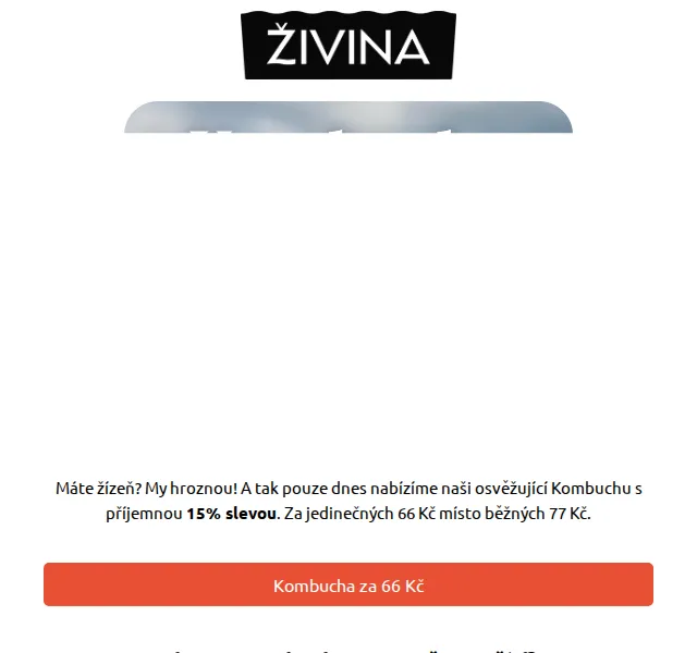 Živina: Kombucha za 66 Kč (15% sleva) – červenec 2026 | Nuslet.cz
