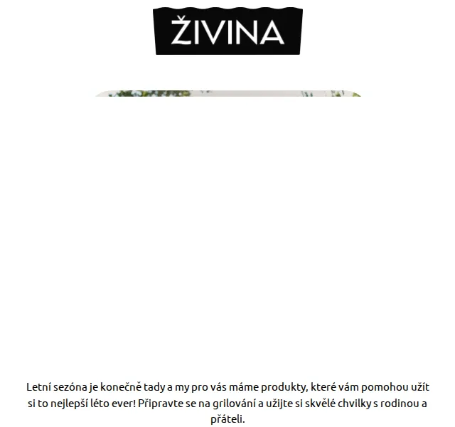 Živina: BBQ omáčky a Kombucha – doprava zdarma + dárek nad 800 Kč | Nuslet.cz
